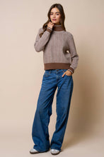 Load image into Gallery viewer, Contrast Trim Turtleneck Knit Sweater