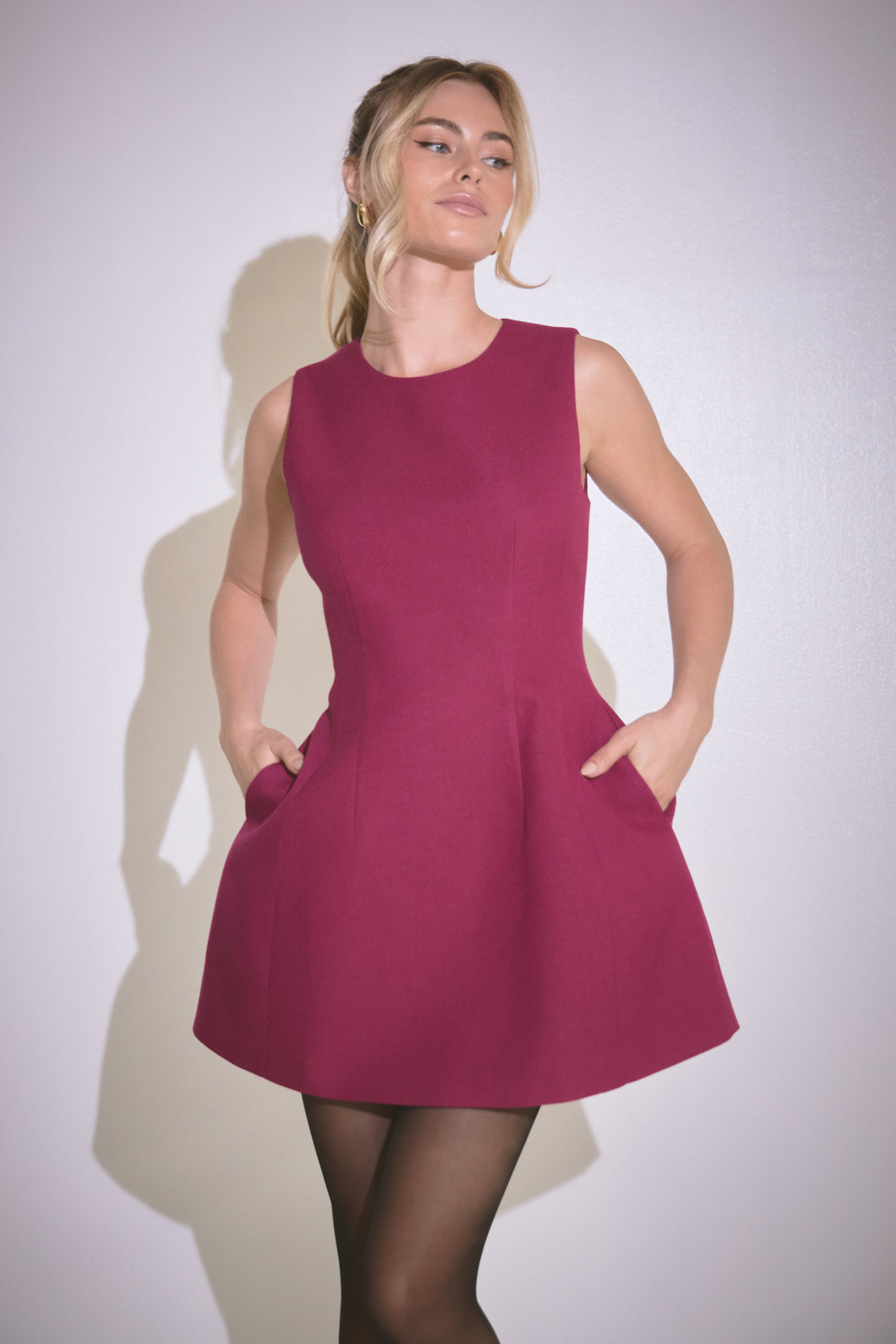 Berry Fit and Flare Dress