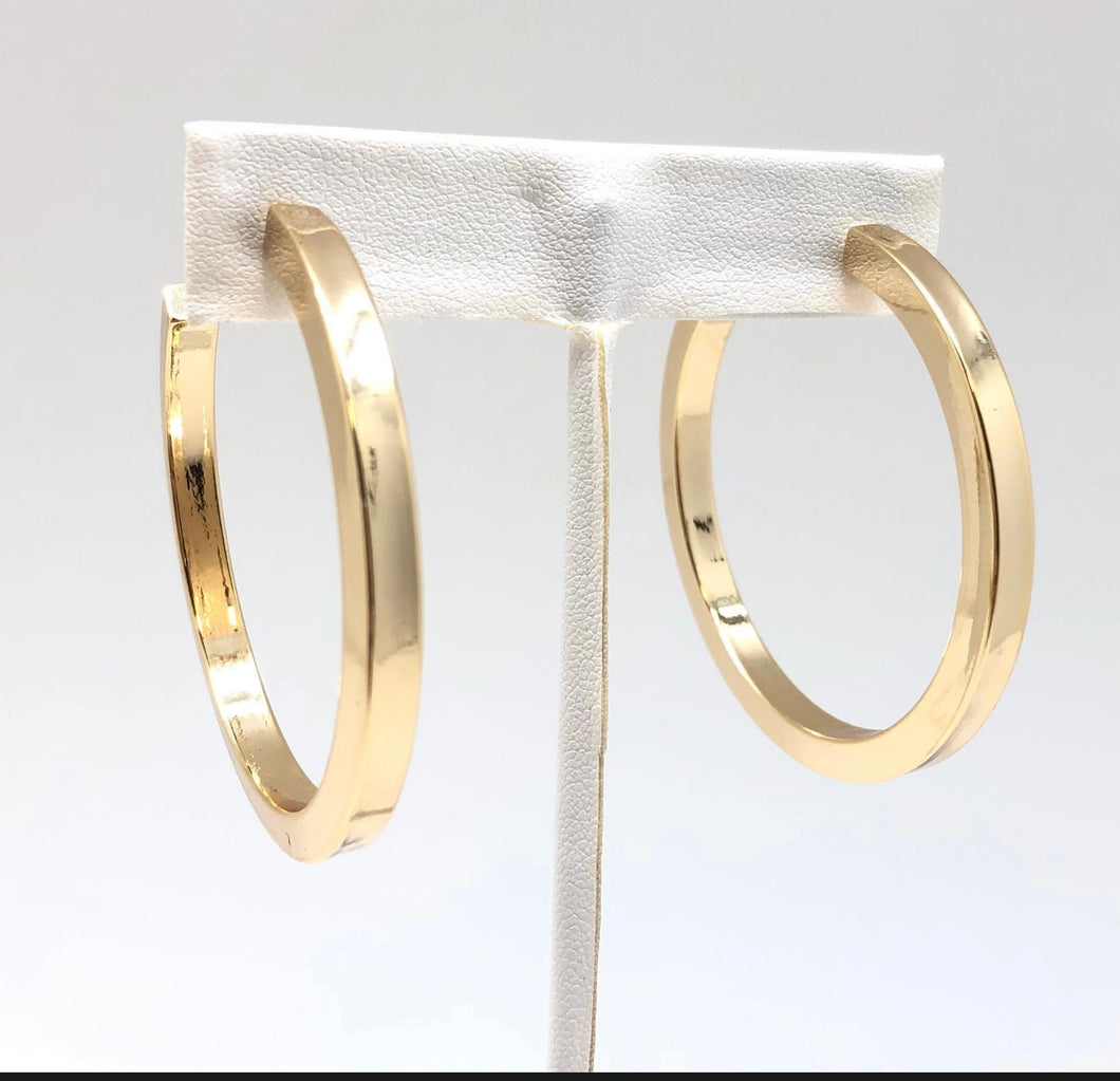 Gold Hoop Earrings